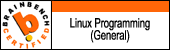 Linux Programmer